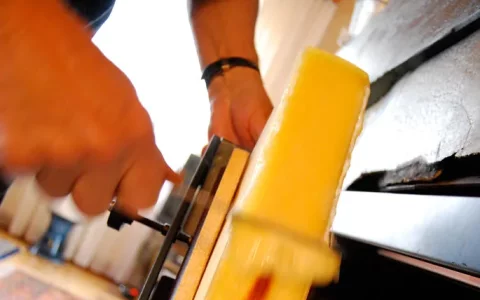Les différents types d'appareils à raclette