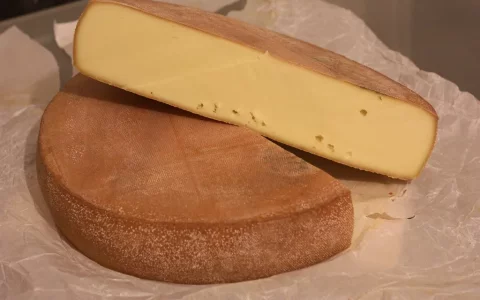 Les différents types d'appareils à raclette